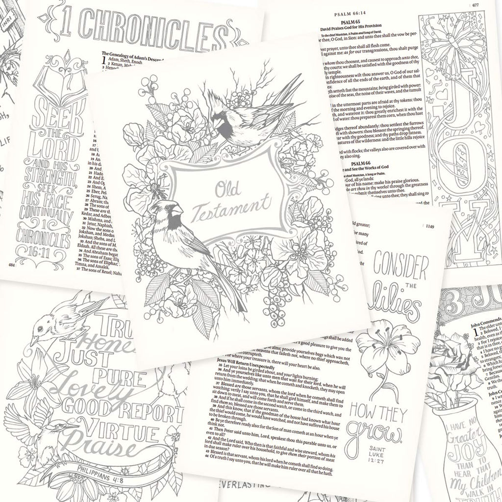 KJV Holy Bible, My Creative Bible, Faux Leather Flexcover - Ribbon Marker, King James Version, Pink Floral (KJV Creative Editions)