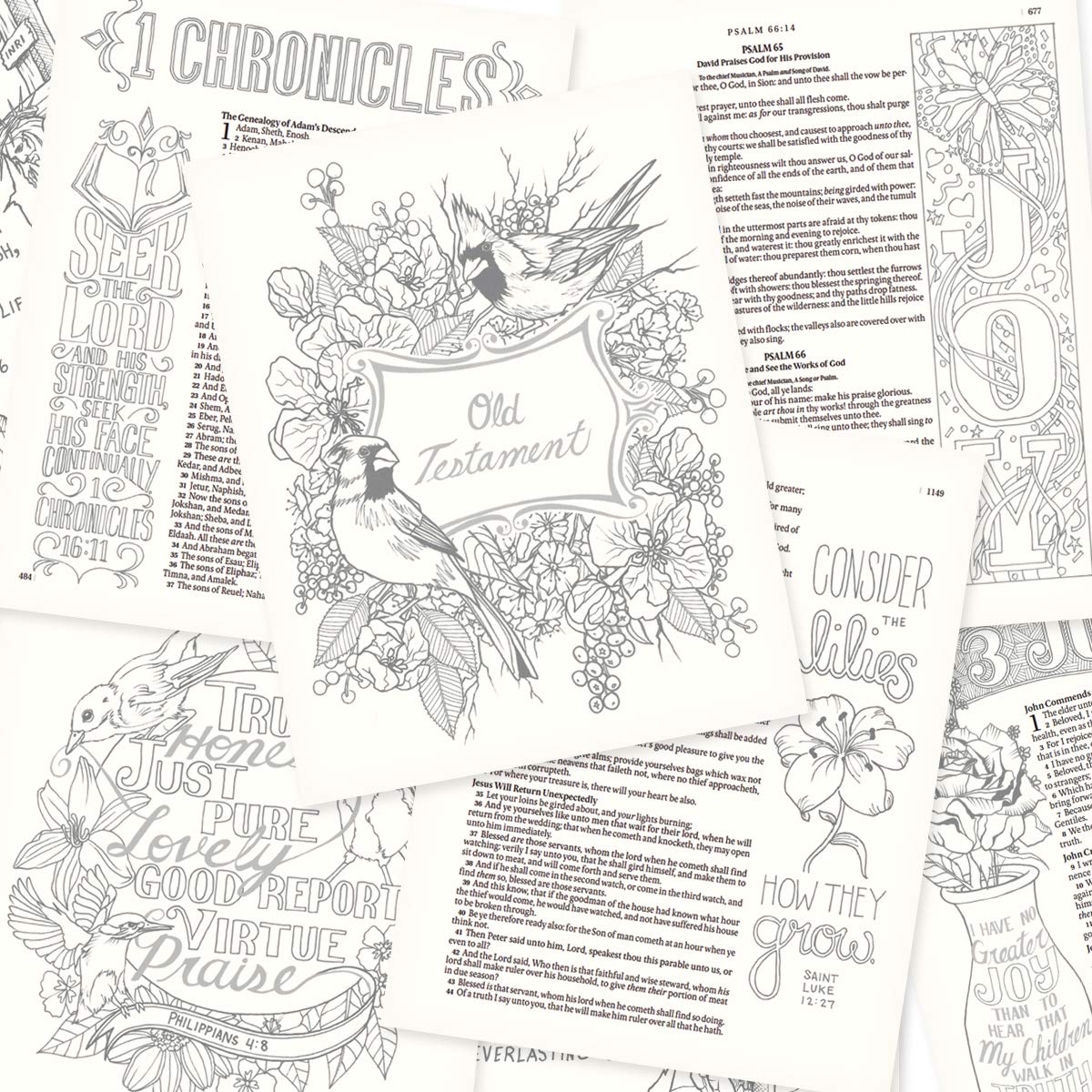 KJV Holy Bible, My Creative Bible, Faux Leather Flexcover - Ribbon Marker, King James Version, Pink Floral (KJV Creative Editions)