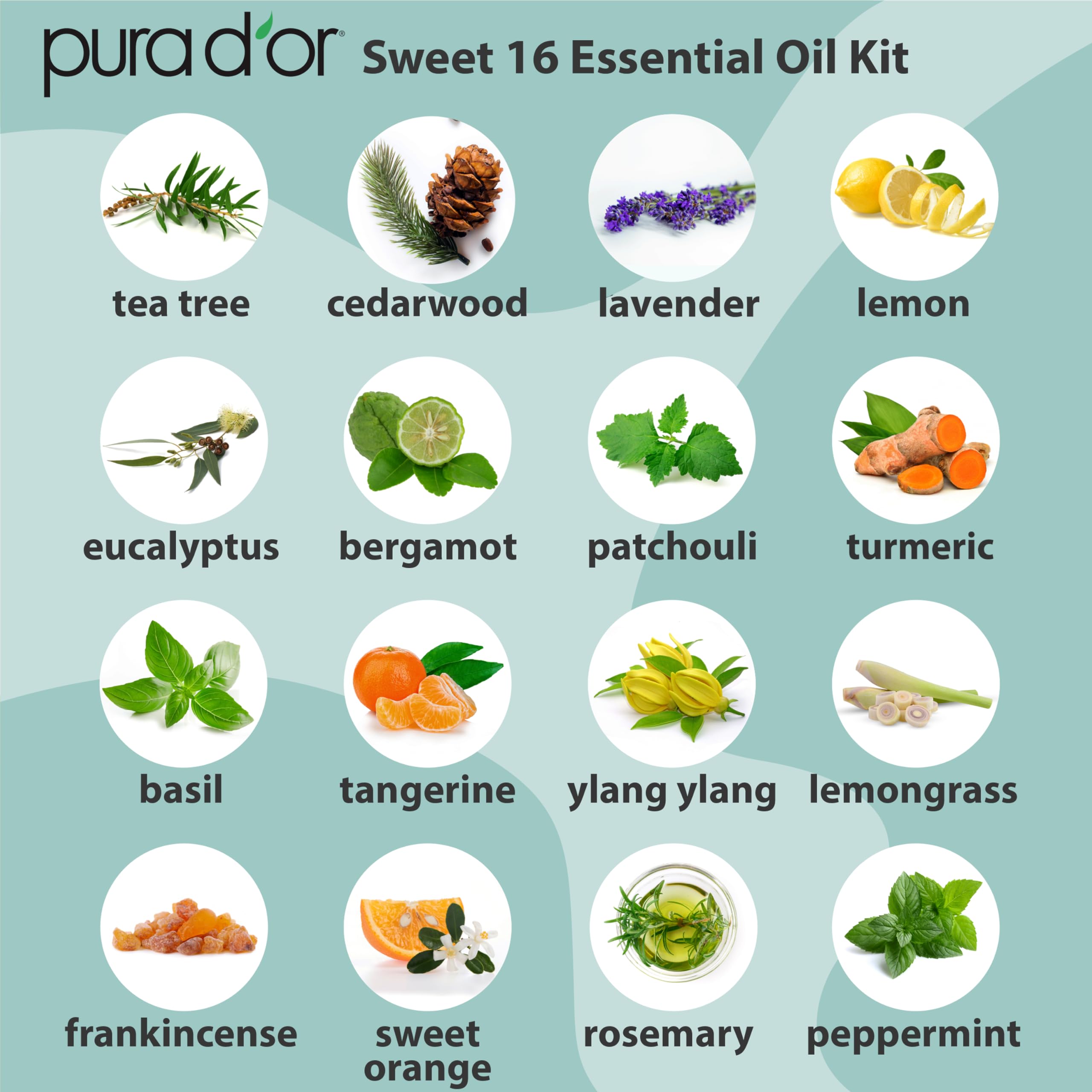 PURA D'OR Organic Sweet16 Essential Oils Set - 16x 10mL Wood Box Aromatherapy Gift Set