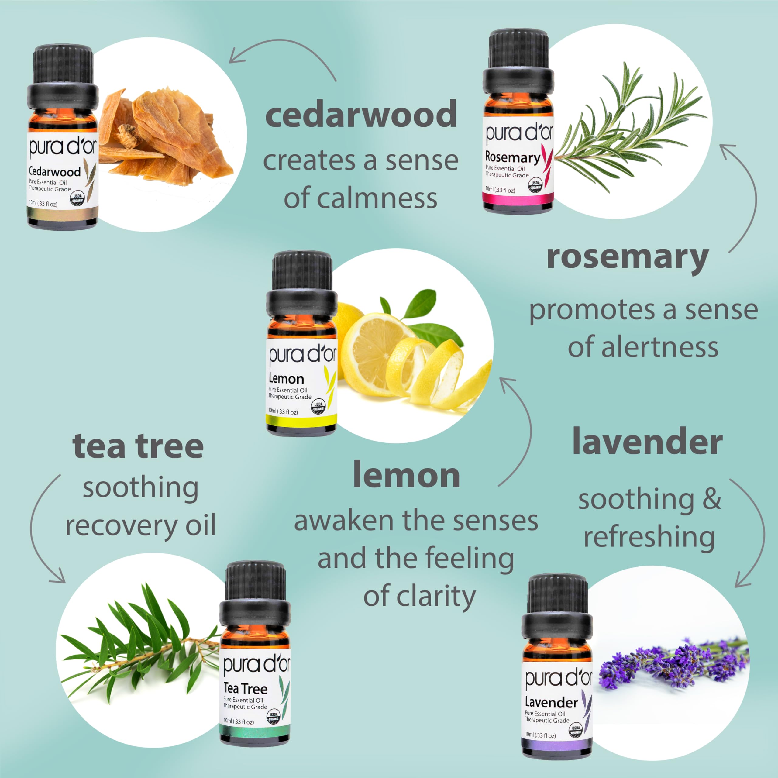 PURA D'OR Organic Sweet16 Essential Oils Set - 16x 10mL Wood Box Aromatherapy Gift Set